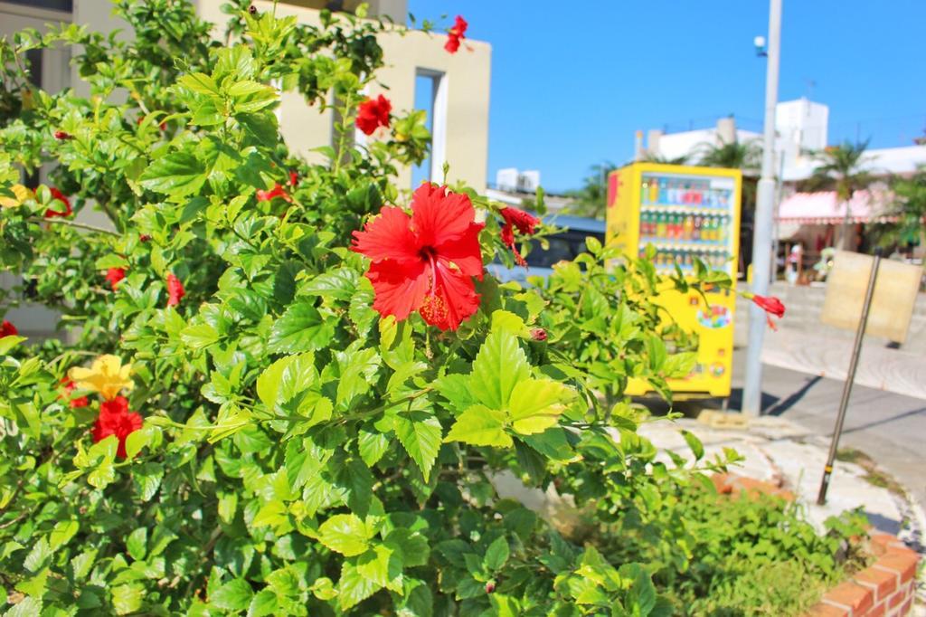 Guest House Route 6 Yomitan Exterior foto